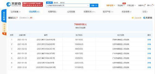 錘子科技關聯公司再成被執行人，面臨58萬執行標的